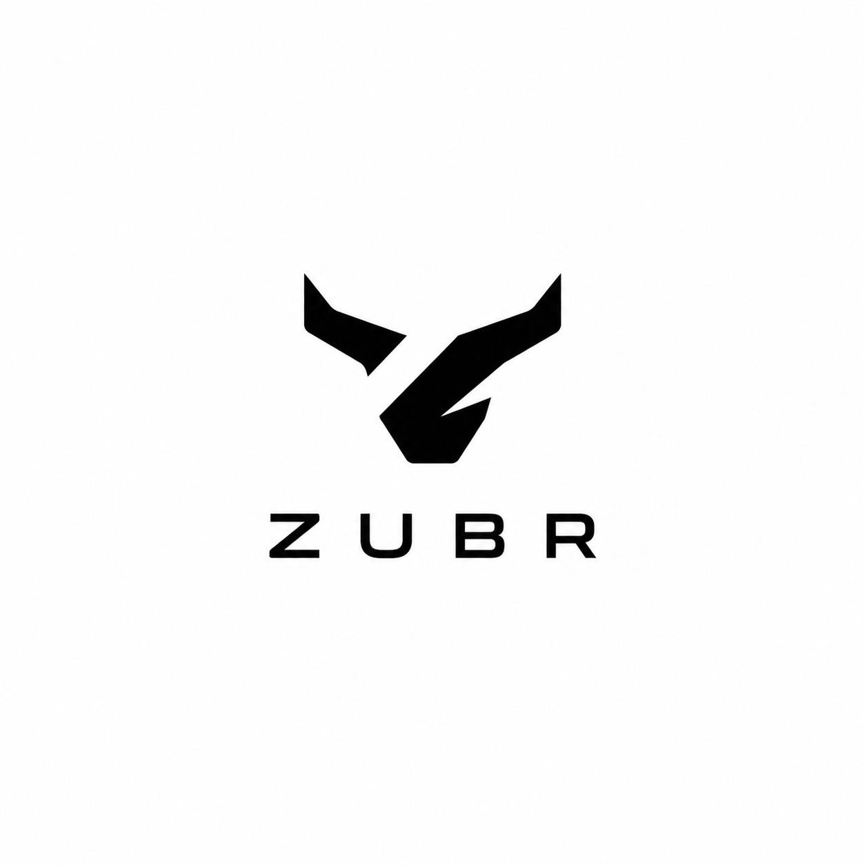 ZUBR logo